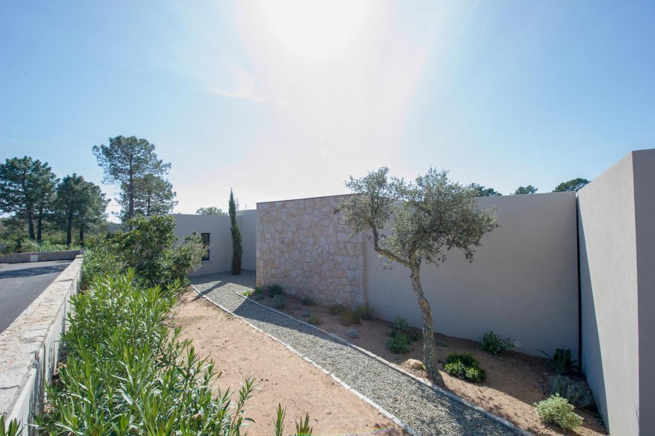 Villa Calme Luxueuse Et Proche Plage Saint-Cyprien 르씨 외부 사진